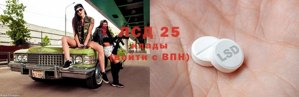 прущие грибы Алексин