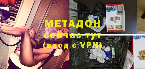 прущие грибы Алексин