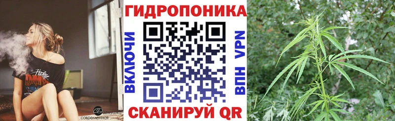 ссылка на мегу tor  Кропоткин  Каннабис сатива 